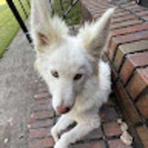 Meet your Posher, Kaitlyn